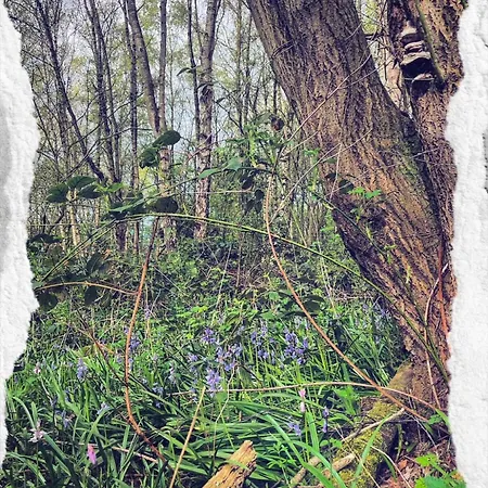 No23 - Bright & Spacious 2nd Floor Flat - Pet Friendly - Noon Check Out Lejlighed