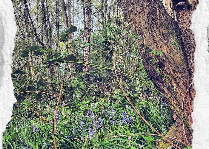 No23 - Bright & Spacious 2nd Floor Flat - Pet Friendly - Noon Check Out 公寓