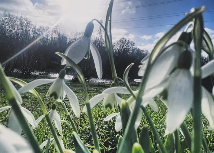 No23 - Bright & Spacious 2nd Floor Flat - Pet Friendly - Noon Check Out Stanwix