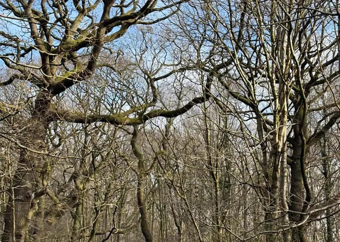 No23 - Bright & Spacious 2nd Floor Flat - Pet Friendly - Noon Check Out 公寓 *